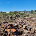 Polícia Ambiental Ação em Guaratuba 002