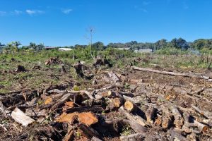 Polícia Ambiental Ação em Guaratuba 002