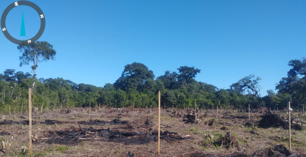 Polícia Ambiental Ação em Guaratuba 003