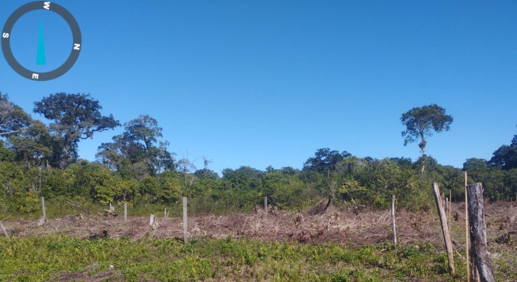 Denúncia de uso de motosserra em área de proteção acaba em prisão