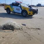 Rede de pesca é apreendida em área proibida em Matinhos