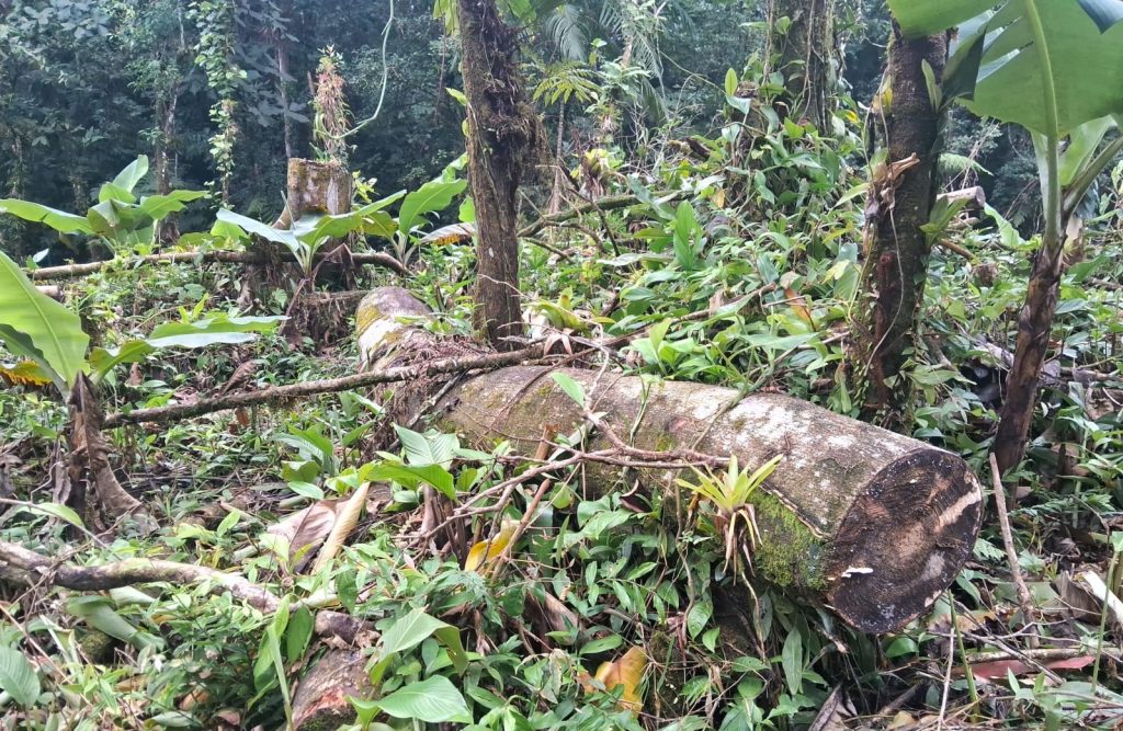 Polícia Ambiental Guaratuba 30 (1)