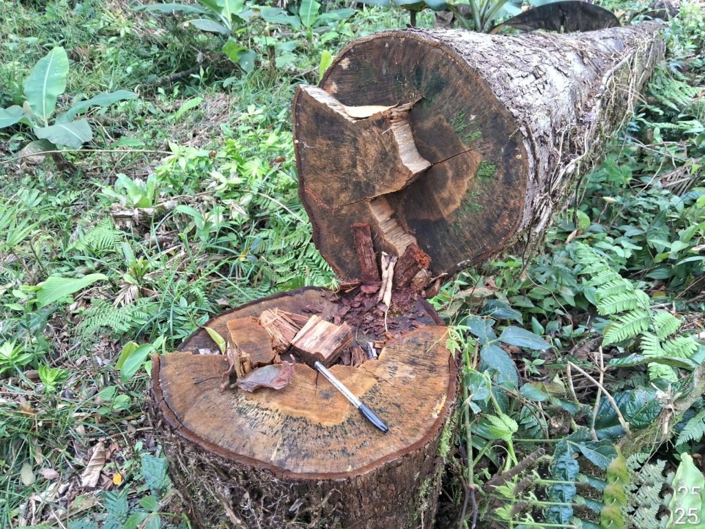 Polícia Ambiental Guaratuba 30 (3)