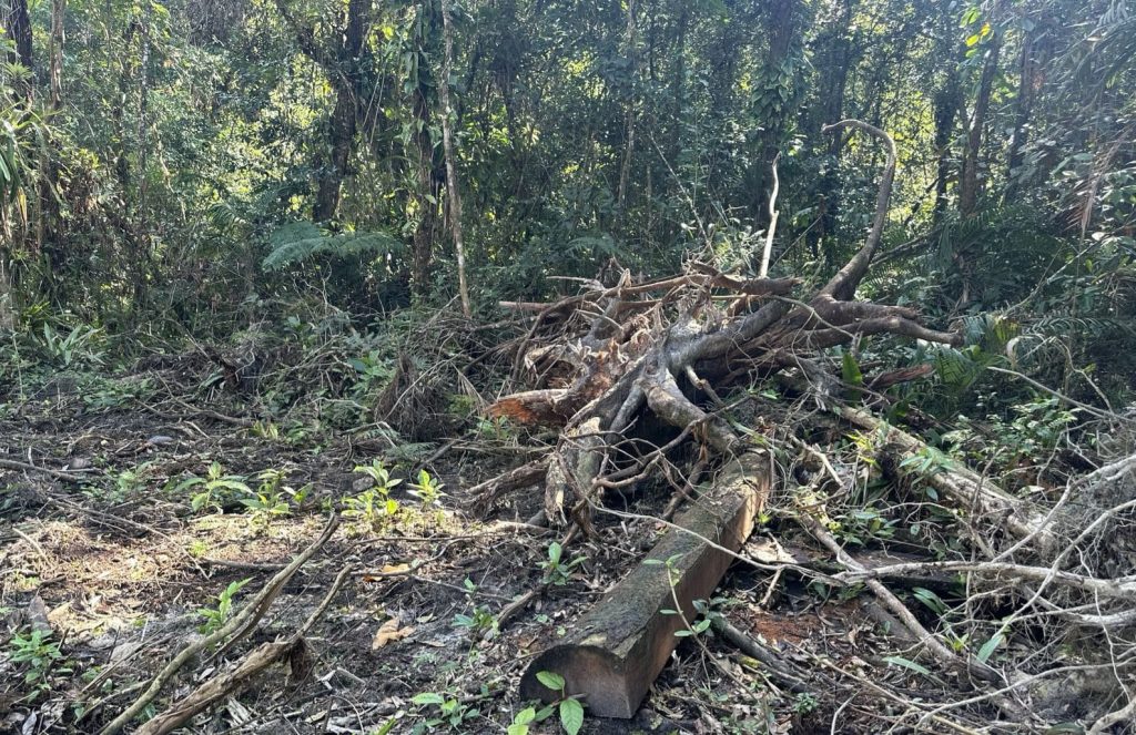 Polícia Ambiental autua proprietário de terreno em Guaratuba (1)