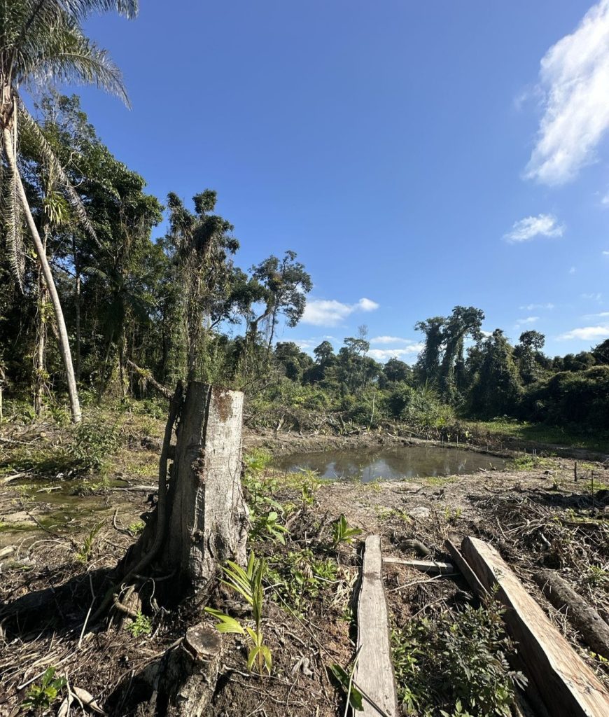 Polícia Ambiental autua proprietário de terreno em Guaratuba (5)