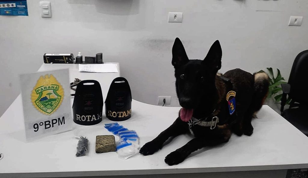Tráfico de drogas ação da PM 1