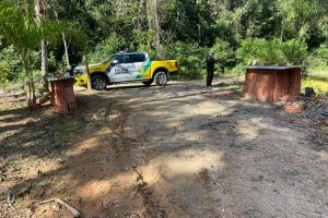 Fiscalização ambiental gera multa de R$ 10 mil por dano à vegetação em Guaratuba