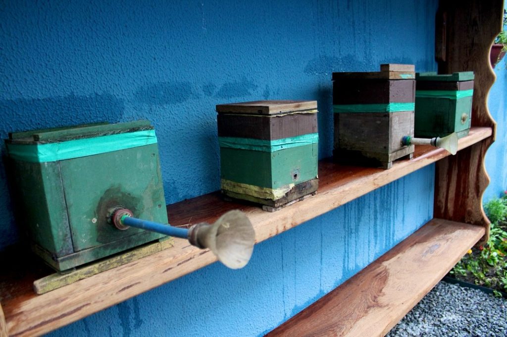 O projeto é idealizado pela AME Litoral e executado em conjunto com o MarMaré (programa municipal de educação ambiental). Foto: Prefeitura de Pontal do Paraná