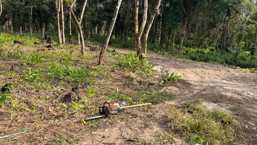 Polcia Ambiental Guaratuba – Queimada e Motossera 1