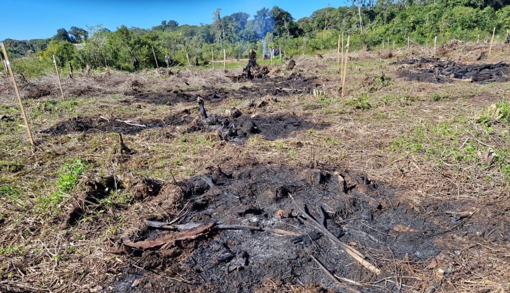 Polcia Ambiental Guaratuba – Queimada e Motossera 11