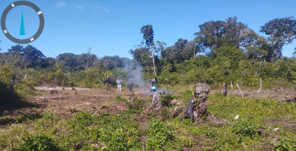 Polcia Ambiental Guaratuba – Queimada e Motossera 12