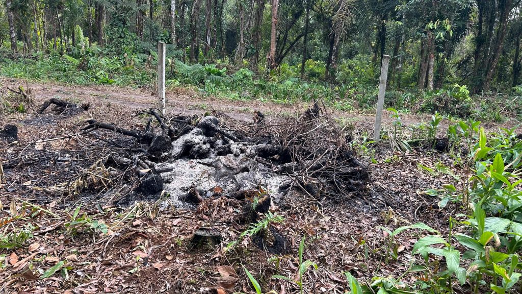 Polcia Ambiental Guaratuba – Queimada e Motossera 6