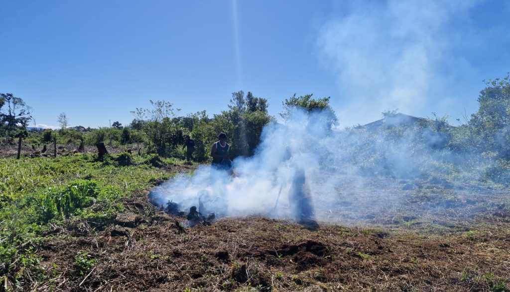 Polícia Ambiental atua em Guaratuba contra desmatamento e queimadas