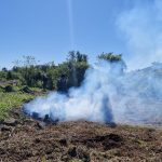Polícia Ambiental atua em Guaratuba contra desmatamento e queimadas