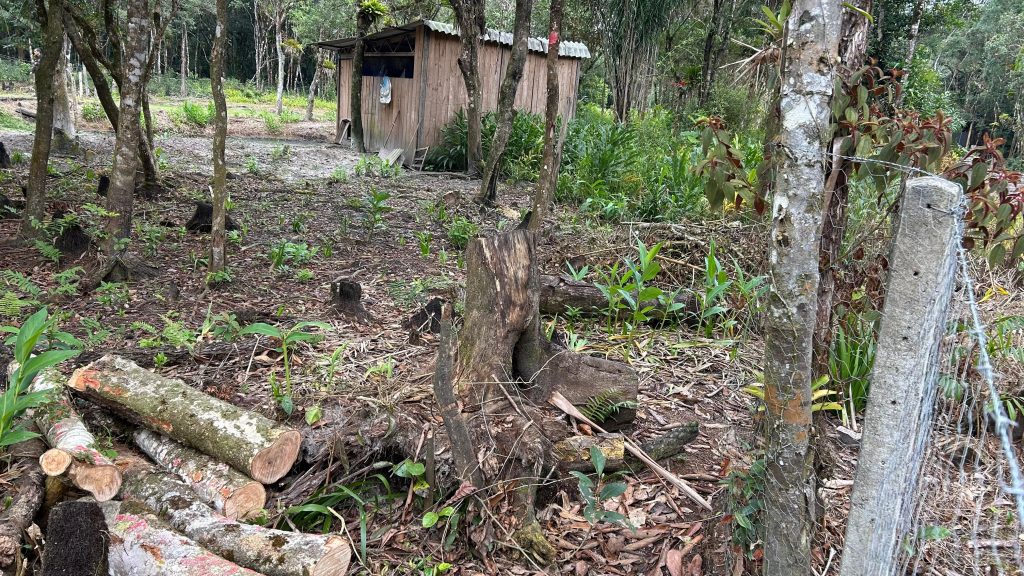 Polcia Ambiental Guaratuba – Queimada e Motossera 91