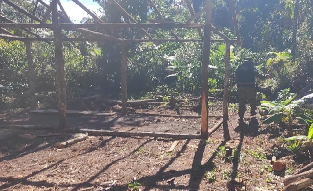 Polícia Ambiental – Ação em Guaratuba