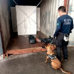 Receita Federal apreende 49,5 kg de cocaína no Porto de Paranaguá