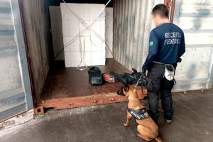 Receita Federal apreende 49,5 kg de cocaína no Porto de Paranaguá