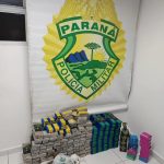 Polícia Ambiental apreende 133 quilos de maconha após denúncia de desmate