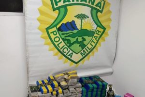 Polícia Ambiental apreende 133 quilos de maconha após denúncia de desmate