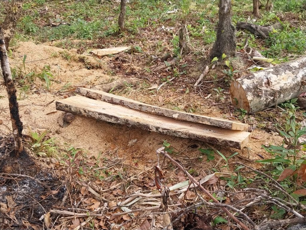 Polícia Ambiental Guaratuba 02