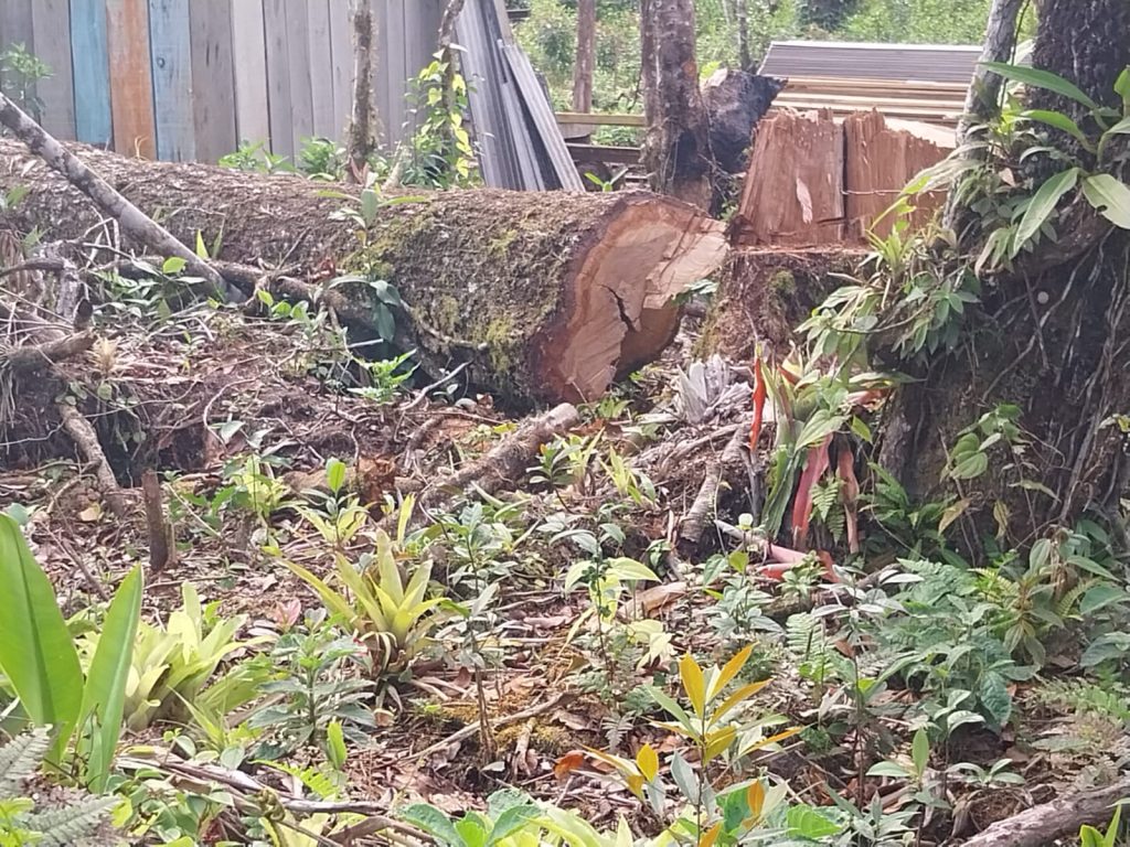 Polícia Ambiental Guaratuba 04