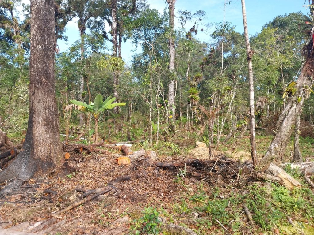 Polícia Ambiental Guaratuba 05