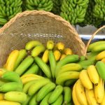 Fruticultura