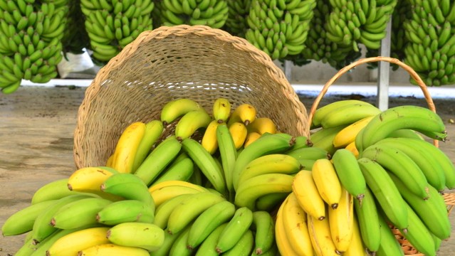 Fruticultura