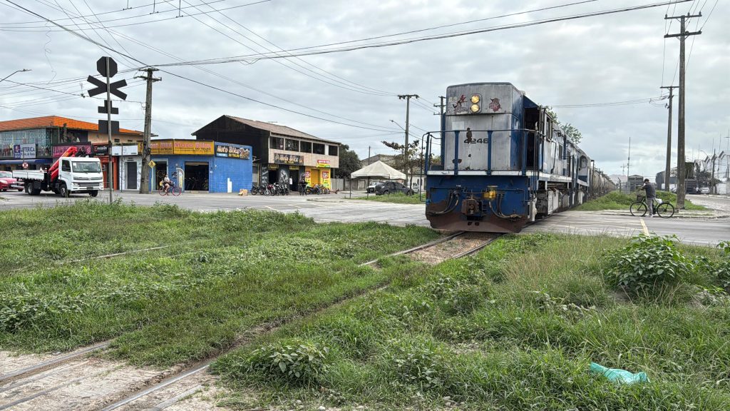 foto 2 – roque vernalha
