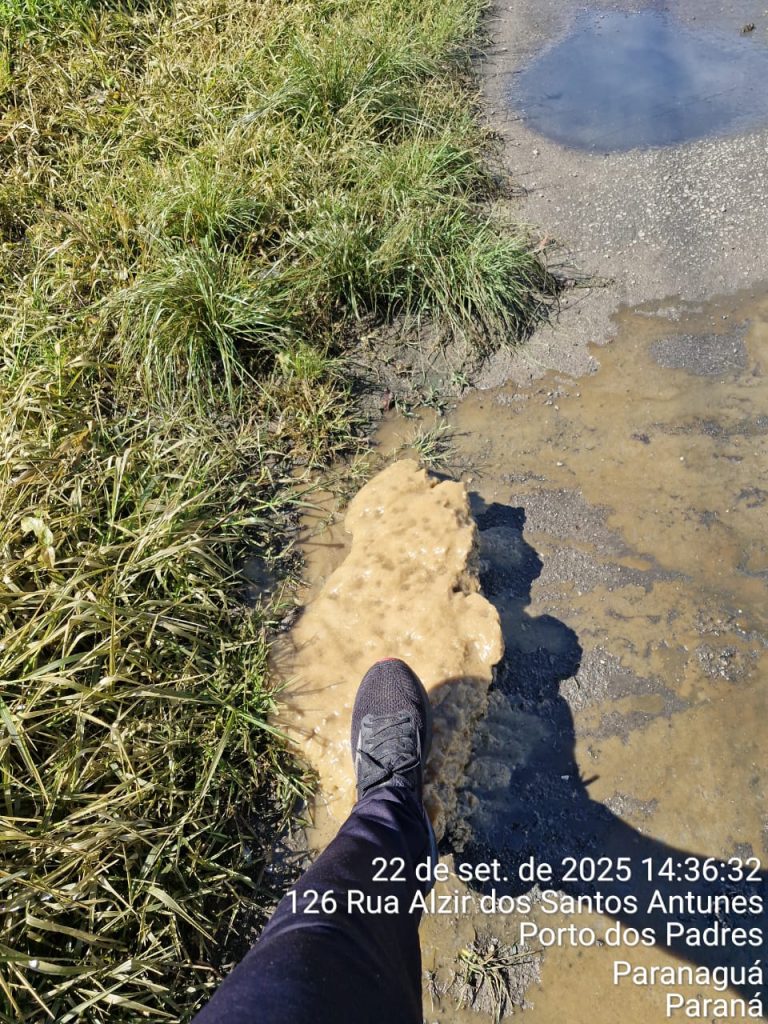fotos galeria (4)