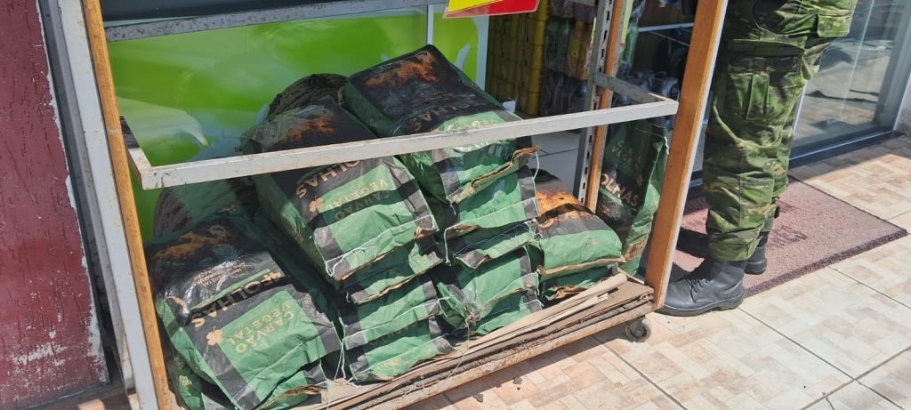Apreensão carvão Polícia Ambiental 1