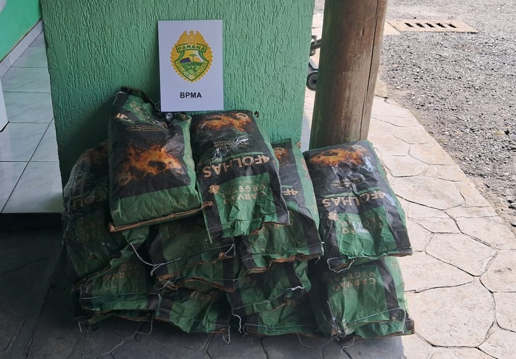 Apreensão carvão Polícia Ambiental 3