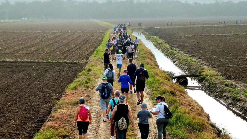 Caminhada na Natureza no Circuito Colônia Pereira