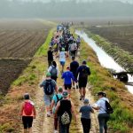 Caminhada na Natureza no Circuito Colônia Pereira