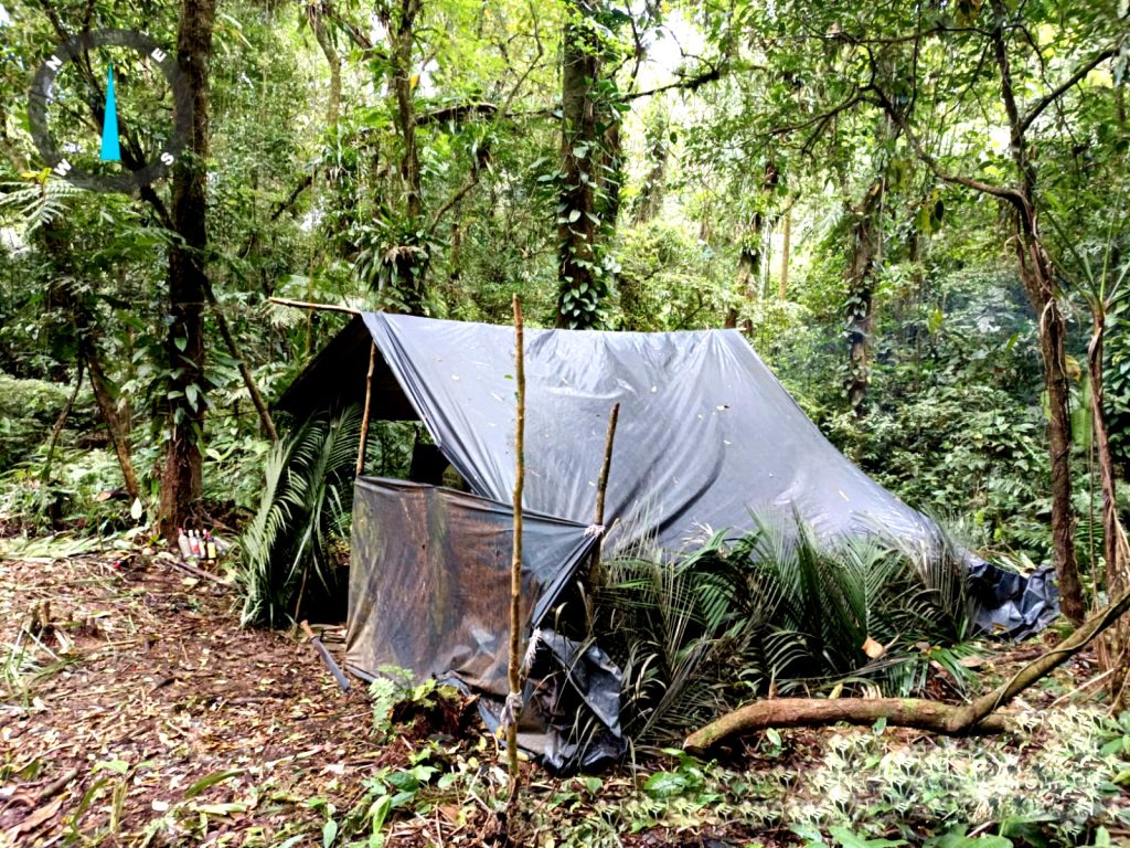 Polícia Ambiental ação em Antonina