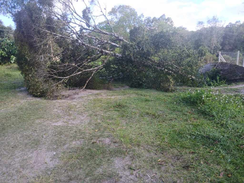 Vendaval Paranaguá