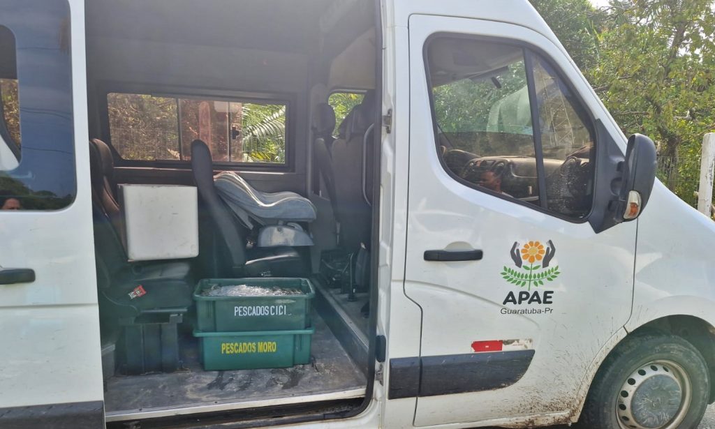 Apreensão de camarão Polícia Ambiental 2