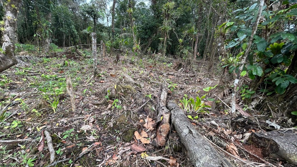Polícia Ambiental Ação Em Guaratuba 02