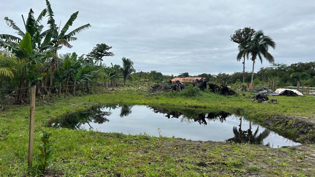 Polícia Ambiental Ação Em Guaratuba 05