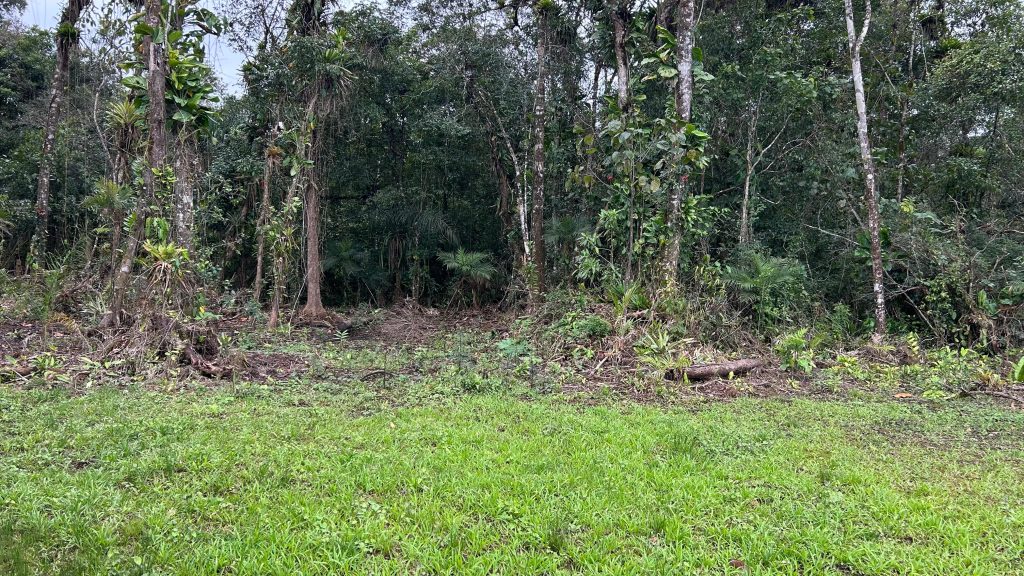 Polícia Ambiental Ação Em Guaratuba 07