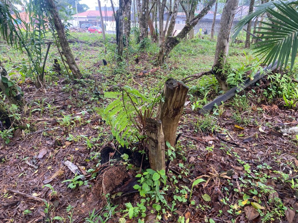 Polícia Ambiental Ação em Matinhos 04