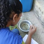 dengue antonina (3)