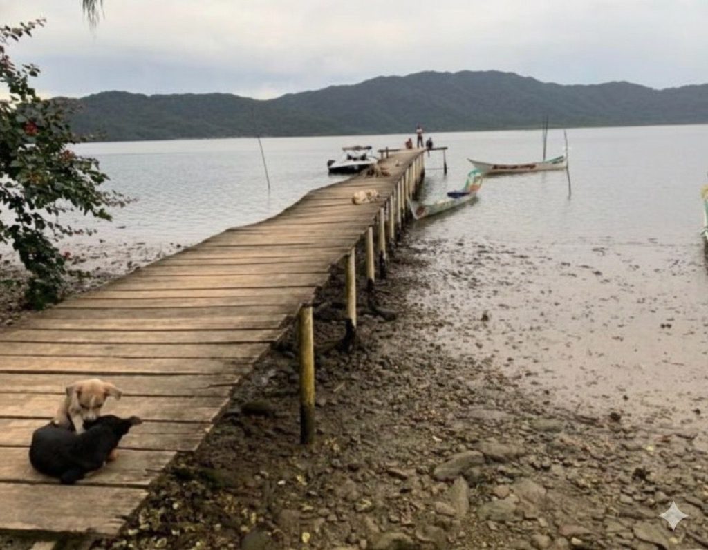 Guaraqueçaba é composta por 26 ilhas e o projeto pode beneficiar cerca de 3.900 pessoas que dependem do transporte hidroviário. Foto: Divulfação