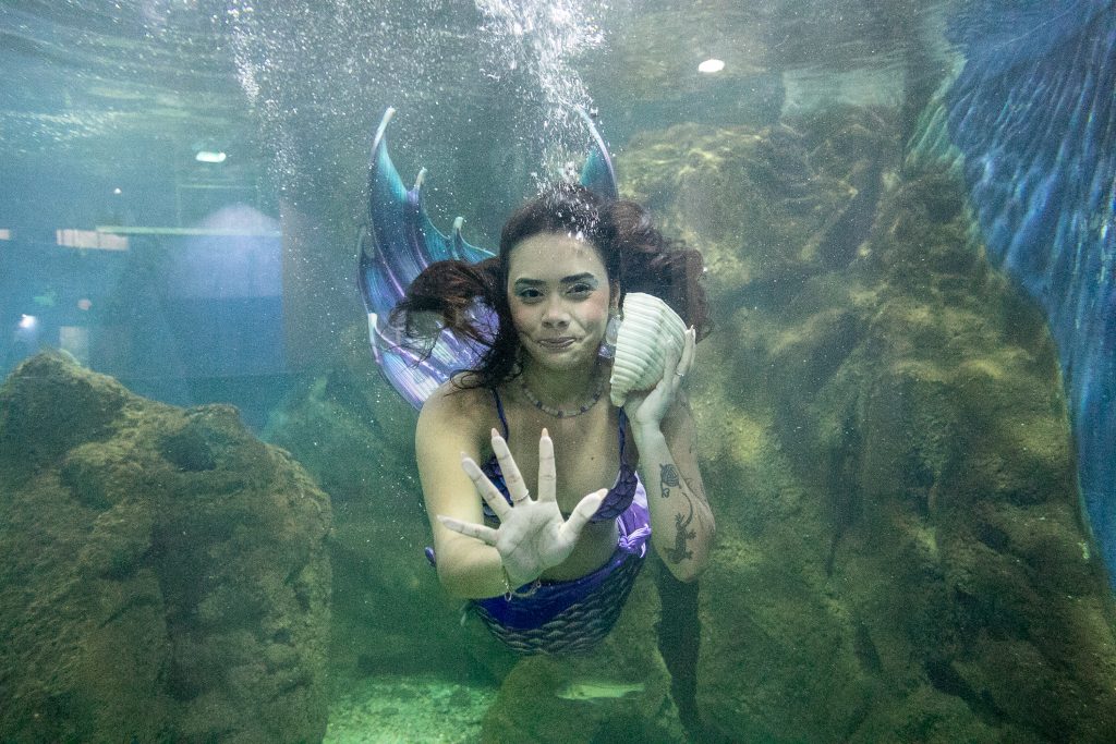 AQUARIO DE PARANAGUA – 12.12 (1) – Foto Portos do Paraná