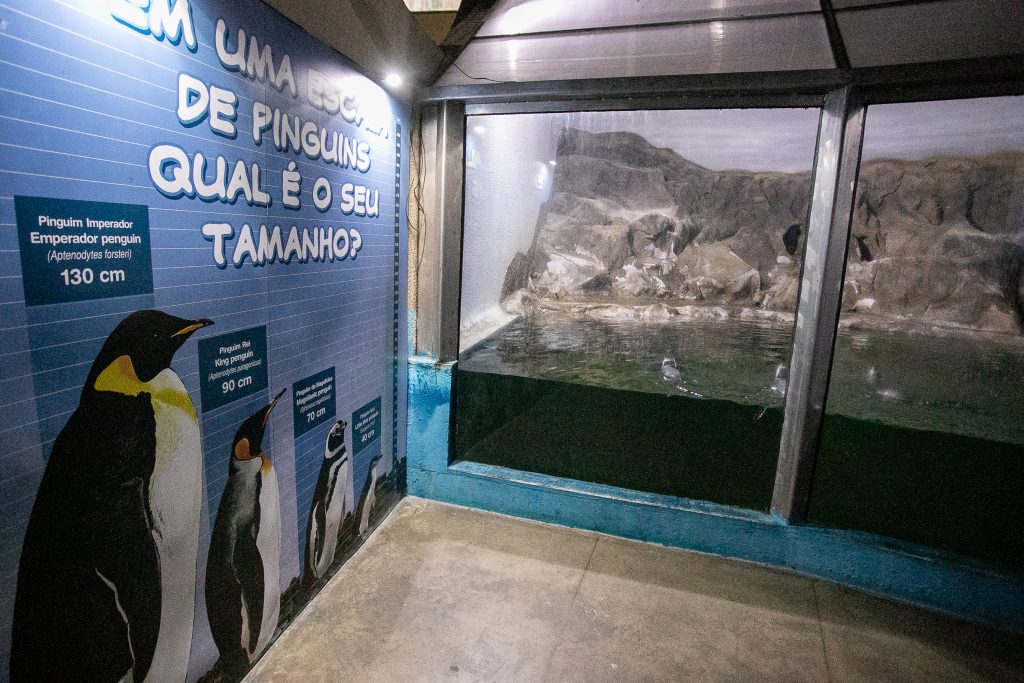 AQUARIO DE PARANAGUA – 12.12 (2) – Foto Portos do Paraná