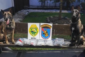Apreensão de drogas Operação Verão PM