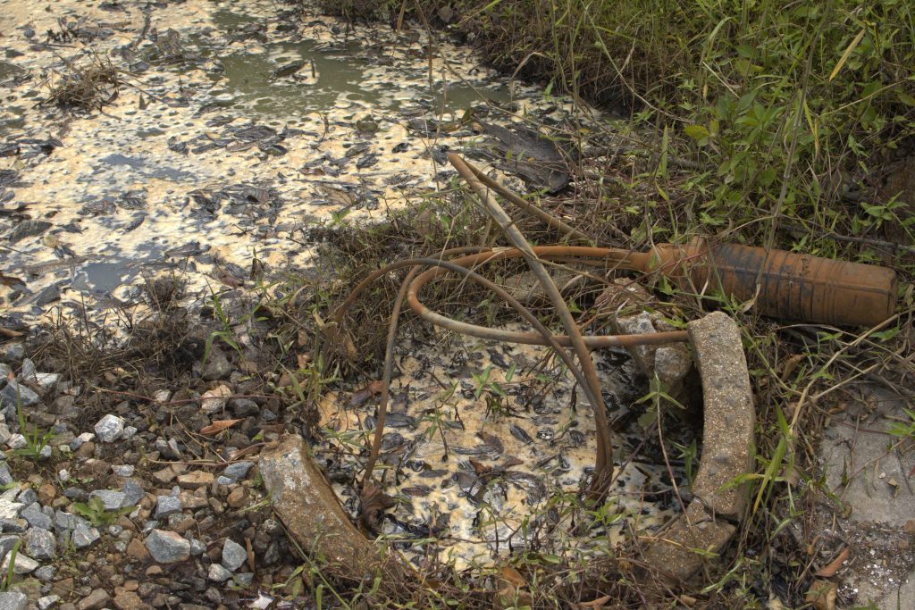 Prefeitura de Morretes notifica Rumo por derramamento de carga de açúcar; “indícios de tentativa de ocultação do dano”