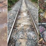 DENUNCIA PEIXES MORTOS FERROVIA