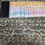 Cão de faro ajuda PM a prender traficantes em Morretes